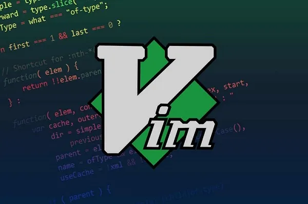 vim review